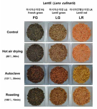 Lentil콩 3종의 열처리 가공