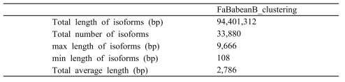 Isoform and gene sizes