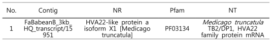 Putative HAV22 gene list from Faba bean full-length library