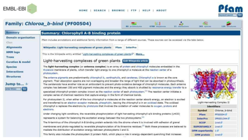 COR domain PF00504 information