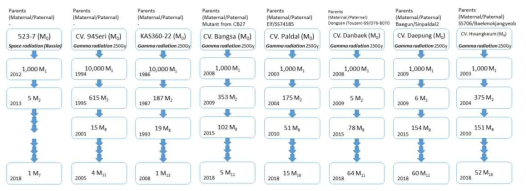 A Schematic diagram of the progress of the soybean mutants generation