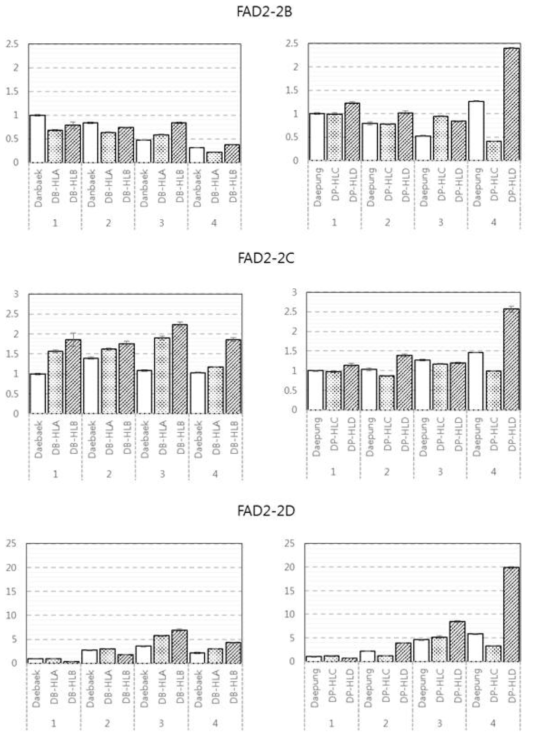 Gene expression analysis of FAD2-2B, FAD2-2C and FAD2-2D in seed development stage using qRT-PCR. Each gene expression levels were divided by developmental stage, ordered by line name and relatively normalized to the expression level of original cultivar at stage 1