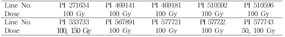 Selected 10 elite faba bean lines and optimal gamma irradiation dose