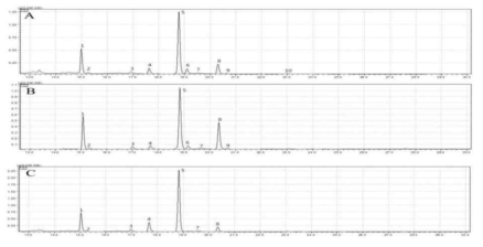 GC-MS chromatograms of fatty acids from the seed of the faba bean A: PI614810, B: PI430715, C: PI252004. 1–10: fatty acids listed in Table 24