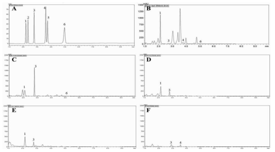 UPLC chromatograms of isoflavones from different parts of the faba bean at 254 nm. A: Standard, B: PI252004 (leaf), C: PI614810 (leaf), D: PI614810 (immature pod), E: PI614810 (seed), PI366039 (seed). 1: Daidzin, 2: Glycitin, 3: Genistin, 4: Daidzein, 5: Glycitein, 6: Genistein