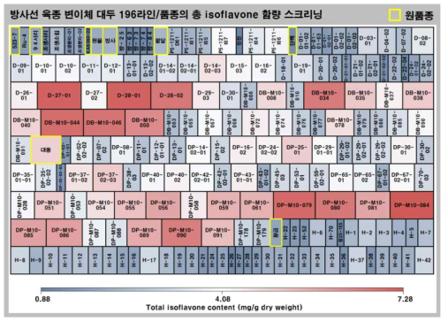 방사선 육종 변이체 대두 196라인/품종의 총 isoflavone 함량 스크리닝