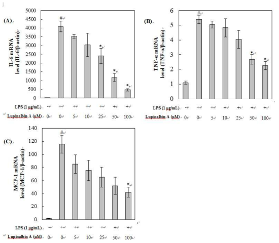 Lupinalbin A가 LPS로 자극된 RAW264.7 세포에서 IL-6 (A), TNF-alpha (B) MCP-1의 mRNA 발현에 미치는 영향