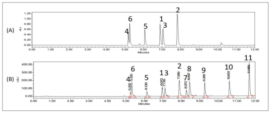 UPLC chromatogram (A, UV 254 nm; B, ELSD) of standard mixture (4, daidzin; 6, glycitin; 5, genistin; 1, daidzein; 3, glycitein; 2, genistein; 7, soyasaponin Aa; 8, soyasaponin Ab; 9, soyasaponin I; 10, soyasapogenol A; 11, soyasapogenol B)