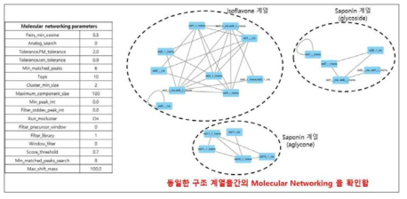 11종의 standard compound들을 이용한 최적의 분자 네트워킹 조건 확립