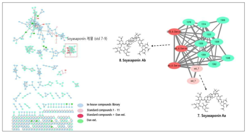 분자 네트워킹 분석 기반 단백콩 추출물 내 soyasaponin 계열 대사체 분석