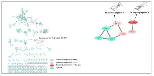 분자 네트워킹 분석 기반 단백콩 추출물 내 soyasaponin 계열 대사체 분석