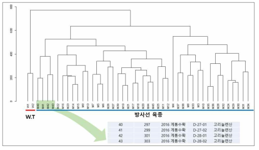 단백콩 추출물의 HCA 분석 결과