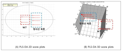 단백콩 추출물의 PLS­DA 분석 결과