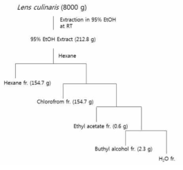 Extraction and solvent partition of the seeds of Lens culinaris