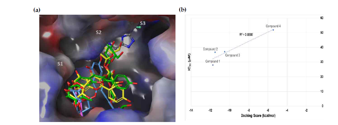 (a) Human dipeptidyl peptidase IV 의 결합포켓/ 활성부위에서 모든 도킹된 화합물의 결합자세. (b) 도킹 점수와 IC50 값 사이의 선형 상관관계, 화합물 1–4 에 대한 R2=0.8886