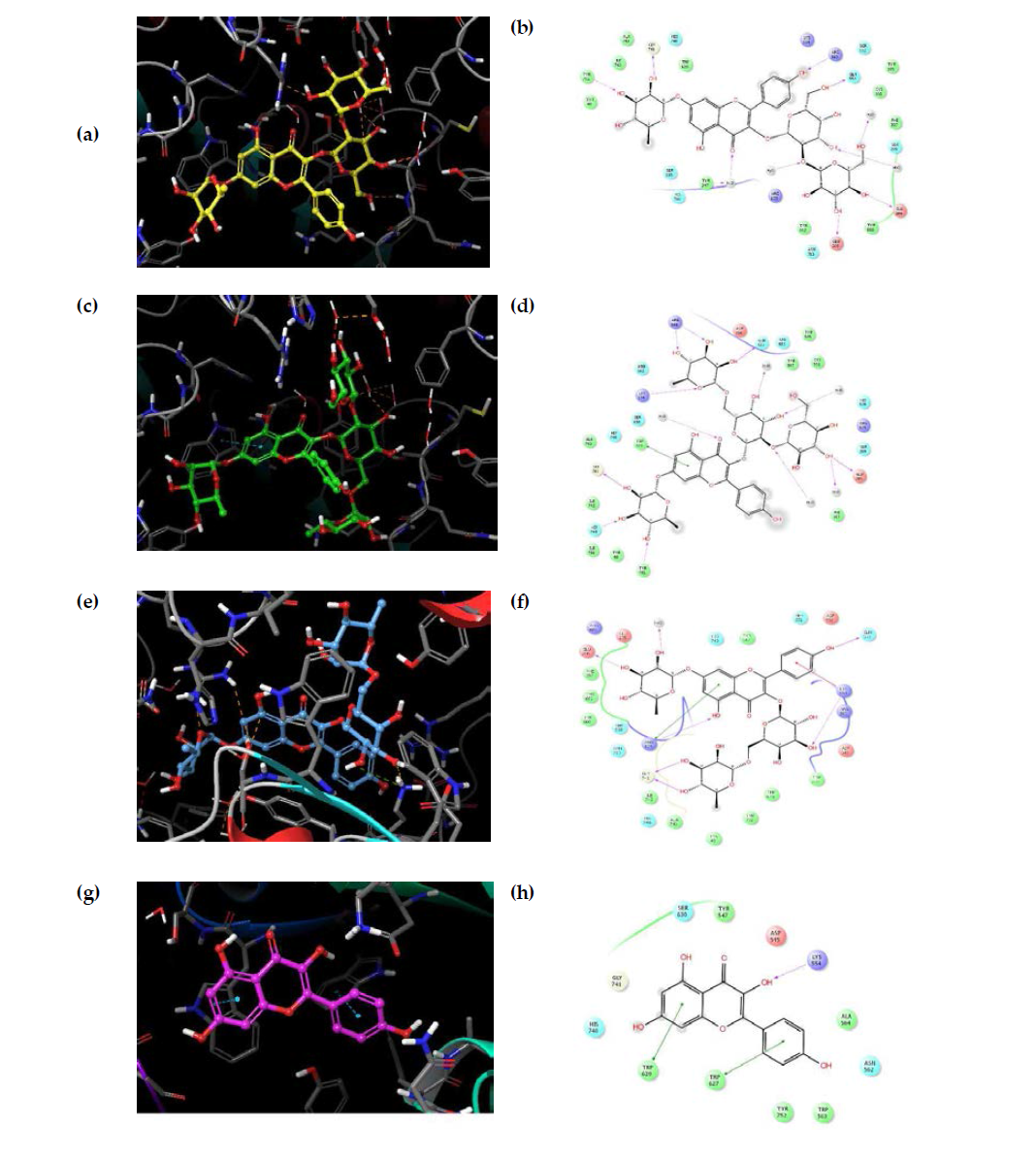 Dipeptidyl peptidase IV 활성 위치와 리간드 상호작용도(LIDs)에서 화합물 1-4의 도킹포즈. (a) 화합물 1의 도킹포즈, (b) 화합물 1의 LID, (c) 화합물 2의 도킹포즈, (d) 화합물 2의 LID, (e) 화합물 3의 도킹포즈, (f) 화합물 3의 LID, (g) 화합물 4의 도킹포즈 및 (h) 화합물 4의 LID