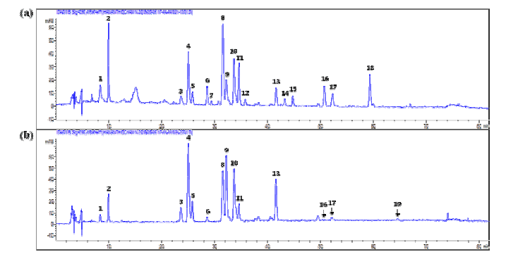 HPLC chromatograms of (a) the infusion of ARTI-Dark Chocolate and (b) Gamguk detected at 280 nm. See Table 19 for the peak numbers and Materials and Methods for HPLC-DAD-ESIMS condition