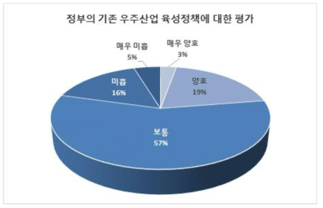 정부의 기존 우주산업 육성정책에 대한 평가