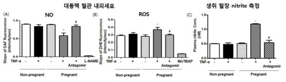 NO/ROS 생성 확인