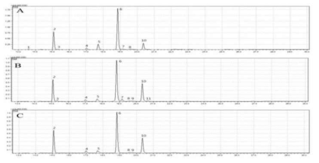 GC-MS chromatograms of fatty acids from the immature pod of the faba bean. A: PI366039, B: PI430715, C: PI614810. 1–11: listed in Table 1-24