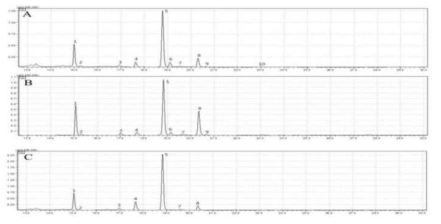 GC-MS chromatograms of fatty acids from the seed of the faba bean. A: PI614810, B: PI430715, C: PI252004. 1–10: fatty acids listed in Table 1-24