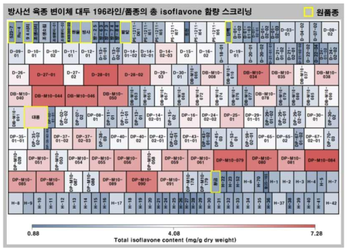 방사선 육종 변이체 대두 196라인/품종의 총 isoflavone 함량 스크리닝