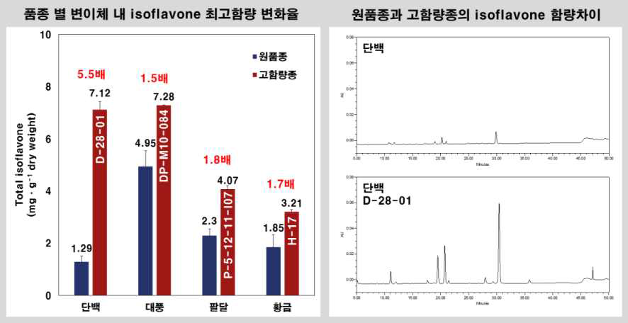 방사선 육종 변이체 대두의 isoflavone 함량 변화