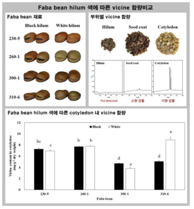 Changes of the vicine content according to different hilum color