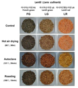 Lentil콩 3종의 열처리 가공