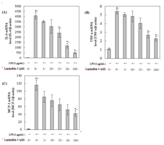 Lupinalbin A가 LPS로 자극된 RAW264.7 세포에서 IL-6 (A), TNF-alpha (B) MCP-1의 mRNA 발현에 미치는 영향