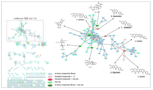 분자 네트워킹 분석 기반 단백콩 추출물 내 isoflavone 계열 대사체 분석