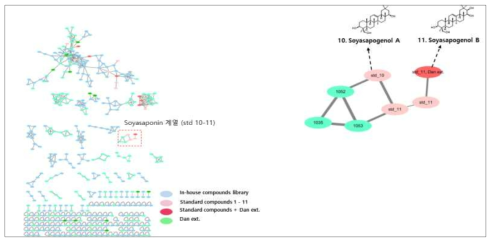 분자 네트워킹 분석 기반 단백콩 추출물 내 soyasaponin 계열 대사체 분석