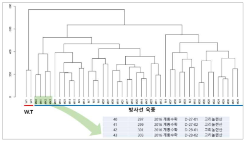 단백콩 추출물의 HCA 분석 결과