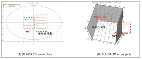 단백콩 추출물의 PLS­DA 분석 결과