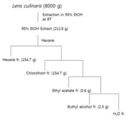 Extraction and solvent partition of the seeds of Lens culinaris