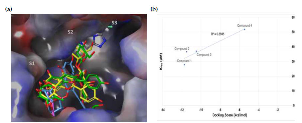 (a) Human dipeptidyl peptidase IV 의 결합포켓/ 활성부위에서 모든 도킹된 화합물의 결합자세. (b) 도킹 점수와 IC50 값 사이의 선형 상관관계, 화합물 1–4 에 대한 R2=0.8886