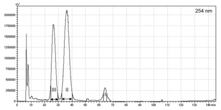 방사선육종 차조기 초임계 추출물의 CPC 분리. Ascending mode에서 n-hexane/ Ethylacetate/ ethanol/ water (8:2:8:2) 조건으로 42분 수행됨