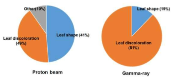 Ratio among mutation phenotypes in populations irradiated by proton beams and gamma-rays