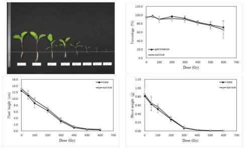 Radio-sensitivity of eggplant to gamma-rays