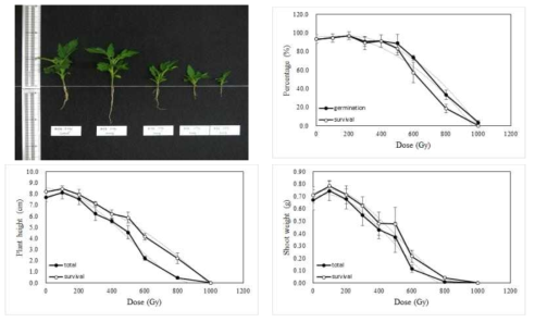 Radio-sensitivity of tomato to gamma-rays