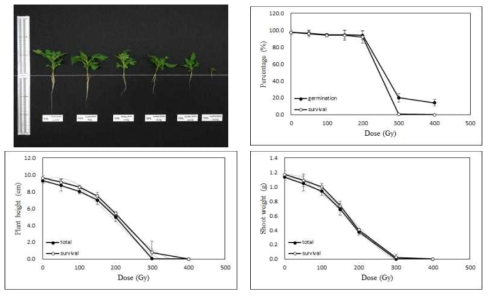 Radio-sensitivity of tomato to 100MeV proton ions