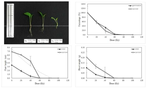 Radio-sensitivity of Japanese atractylodes to 100MeV proton ions