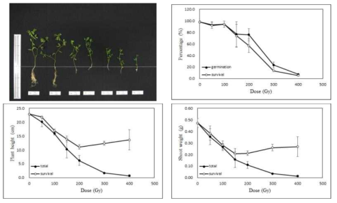 Radio-sensitivity of lentil to gamma-rays