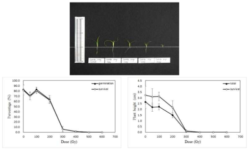 Radio-sensitivity of centipede grass to gamma-rays