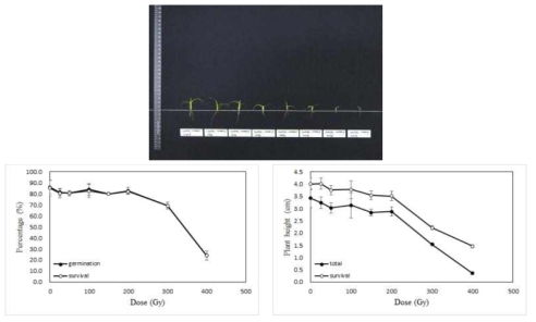 Radio-sensitivity of centipede grass to 100MeV proton ions