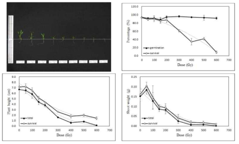 Radio-sensitivity of China pink to 100MeV proton ions