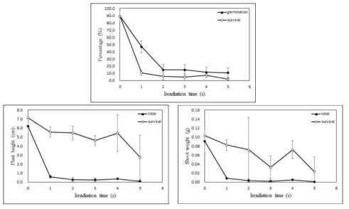 Radio-sensitivity of China pink to 20MeV proton ions