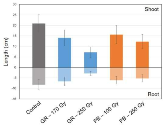 Early growth of gamma and proton beam irradiated rice seeds (cv. Samkwang) for generating mutant populations. The length was measured two weeks after seeding