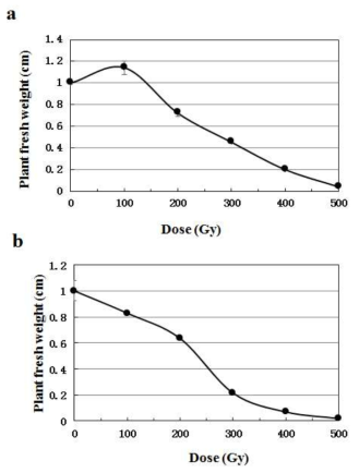 Effect of proton beam irradiation on the weight of Yuwolcho. a : proton beams; b : gamma-rays