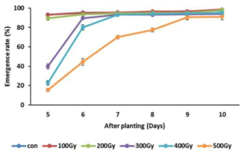 옥당종자의 파종 후 일수에 따른 감마선의 각 조사선량의 출아율. 오차막대:±SE